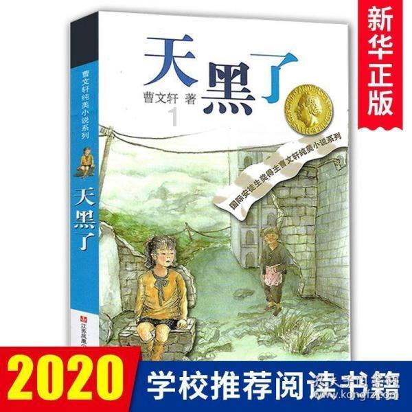 巫师2：刺客之王